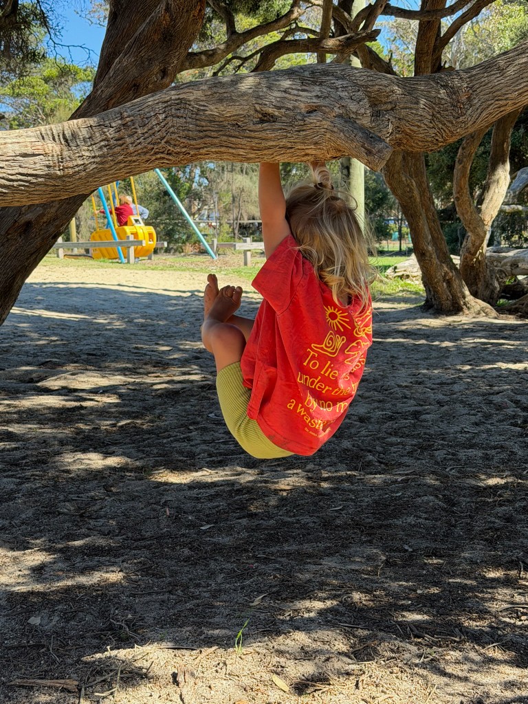 Child playing on a tree branch at an outdoor playground on a sunny day