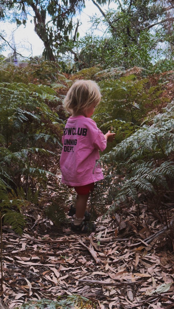 Young child exploring a fern-lined forest path with fallen leaves underfoot
