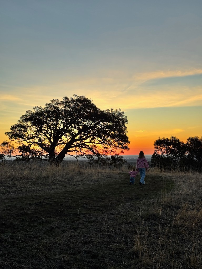 Parent and child walking hand in hand through a grassy field toward a bright sunset beside a large oak tree